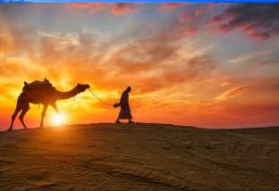 Rajasthan 1